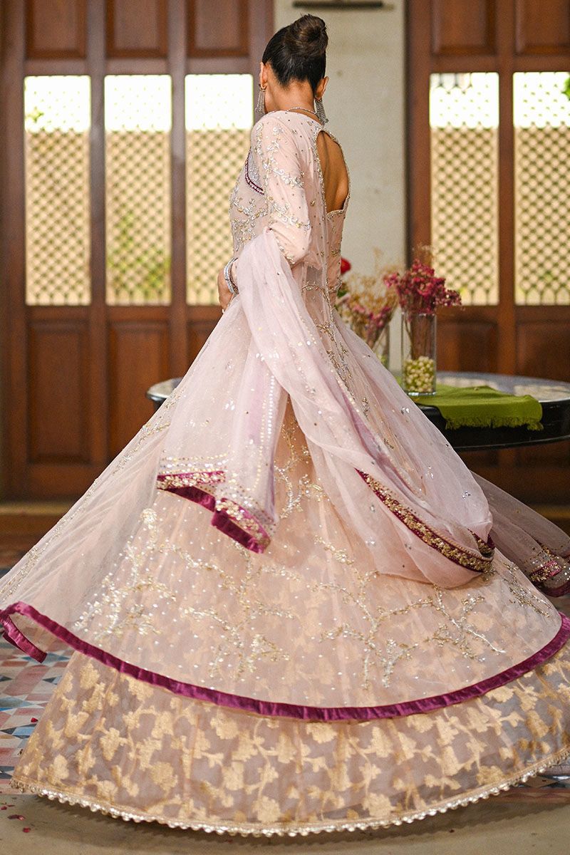 Shaadi Diaries